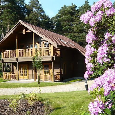 The Dorset Resort East Stoke  Ngoại thất bức ảnh