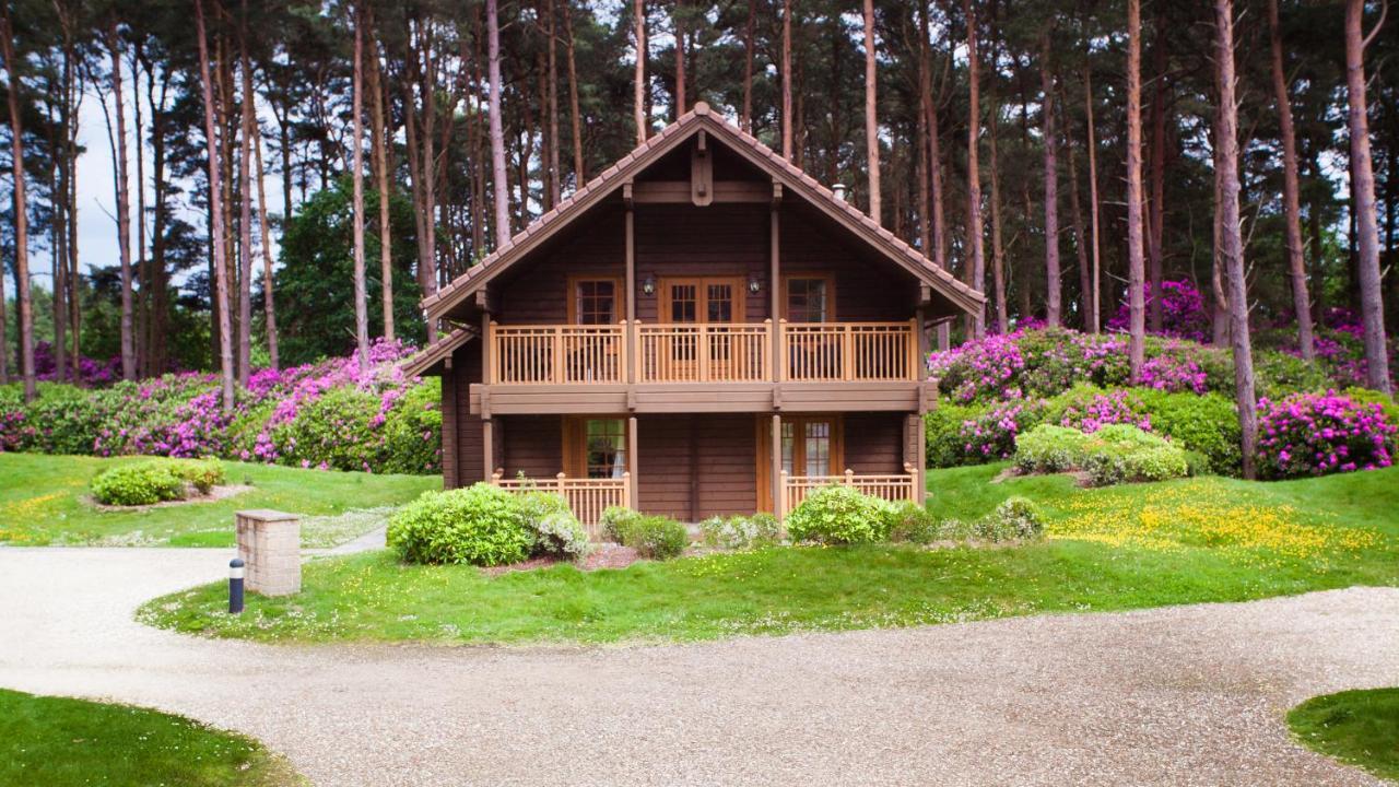 The Dorset Resort East Stoke  Ngoại thất bức ảnh
